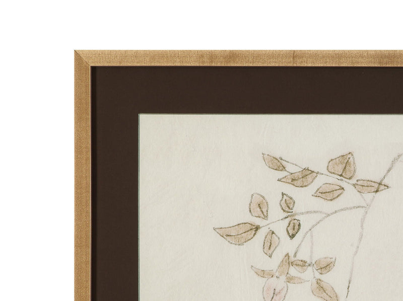 Delicate Rose II Framed Print - Cream