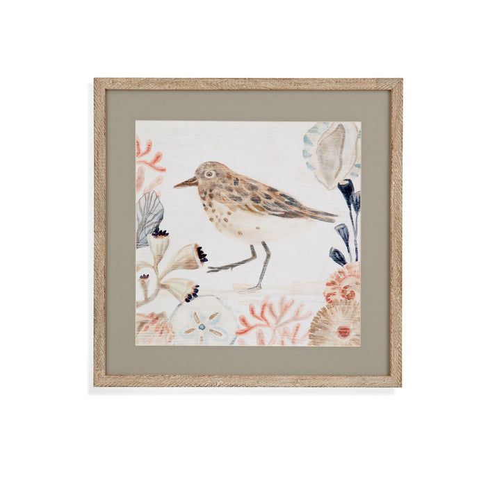Shell Peppers II Framed Print - White