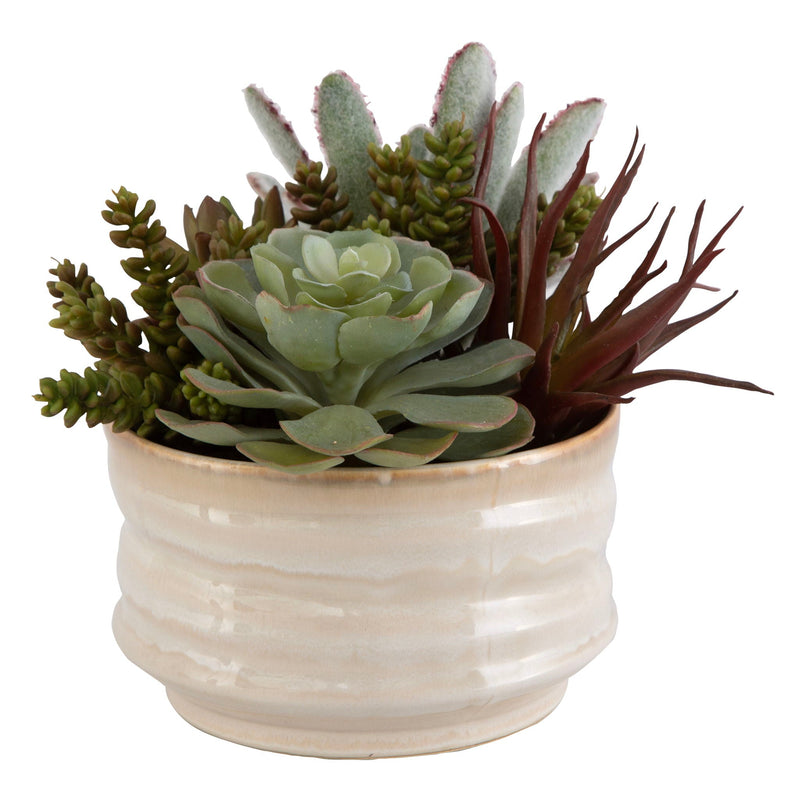 Mesa Succulent Accent - Silver