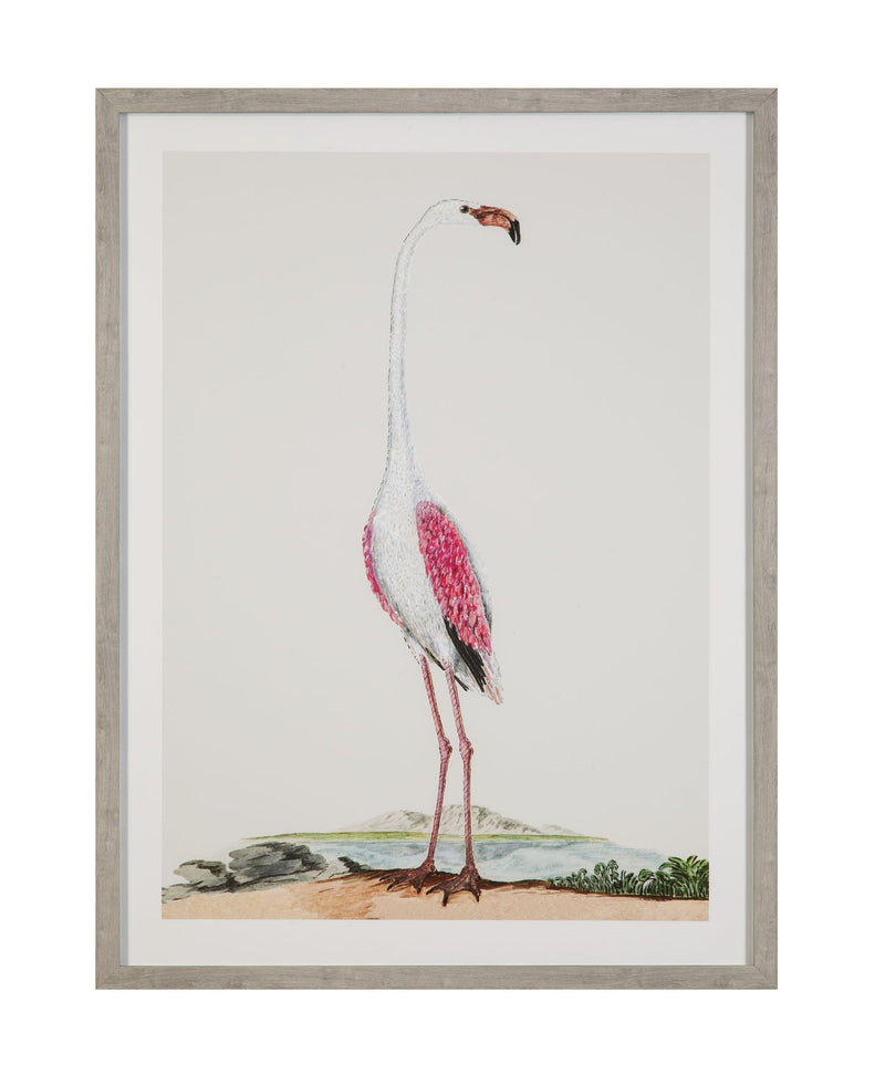 Vintage - Flamingo I Framed Print - Pink