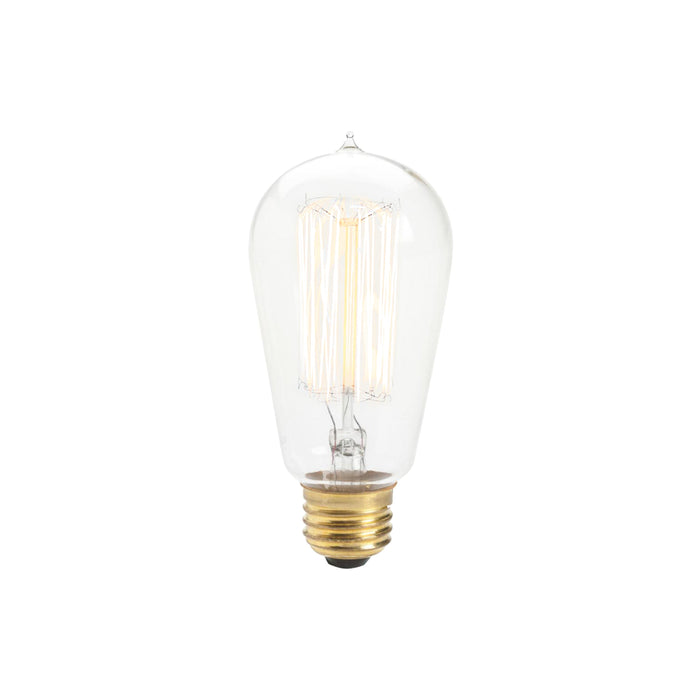 Edison Light Bulb