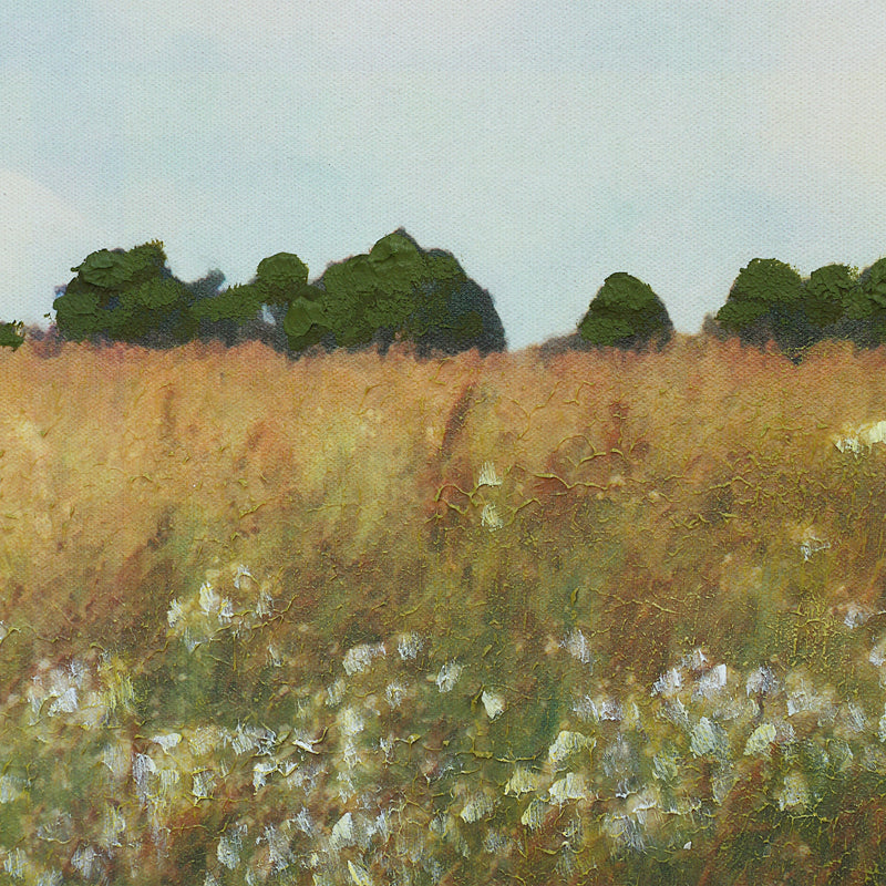 Lasso Painting
