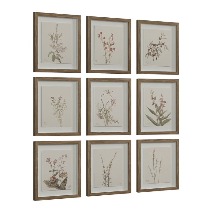 Crema Printed Art