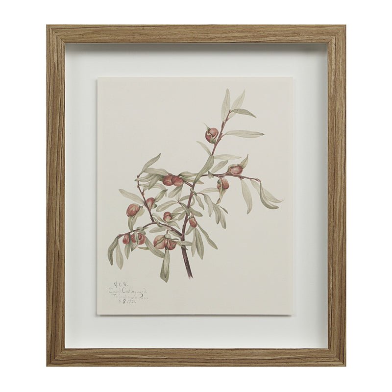 Crema Printed Art