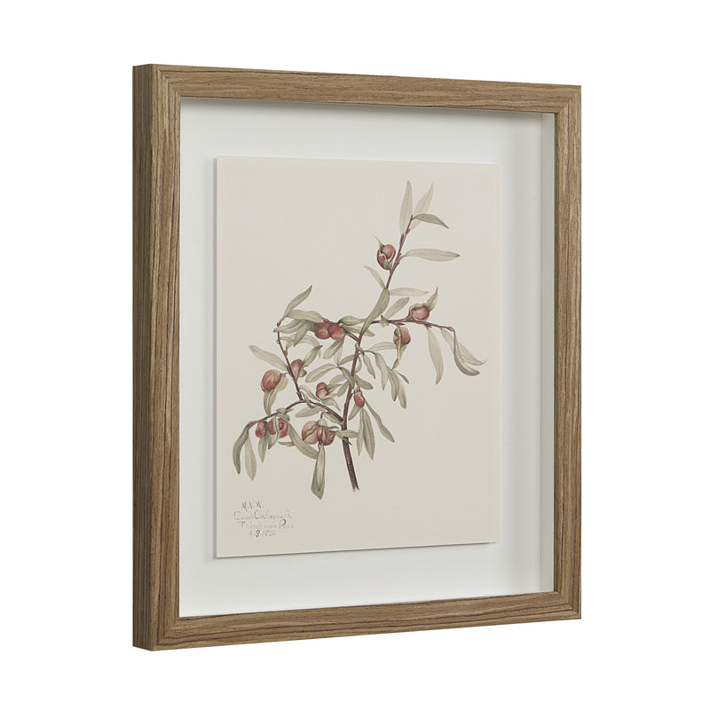 Crema Printed Art