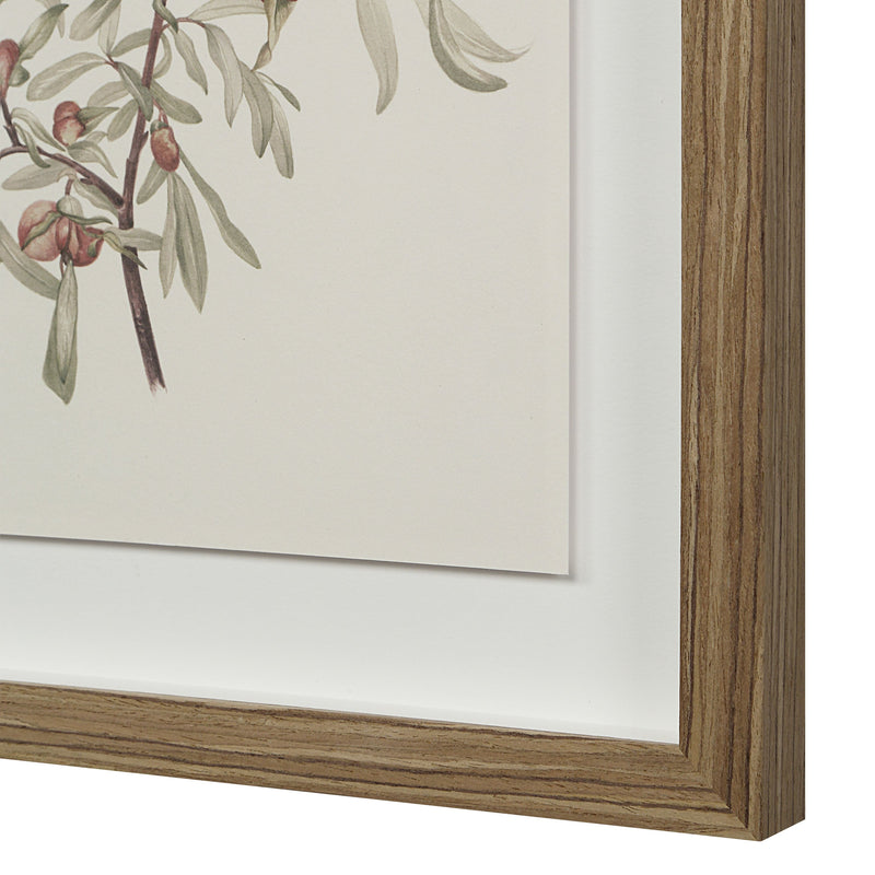 Crema Printed Art