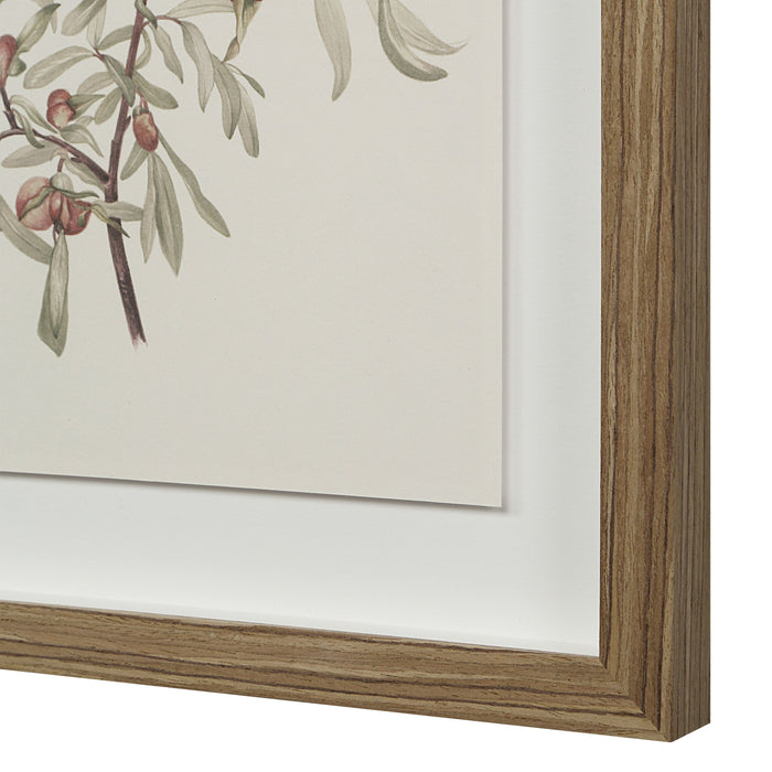 Crema Printed Art