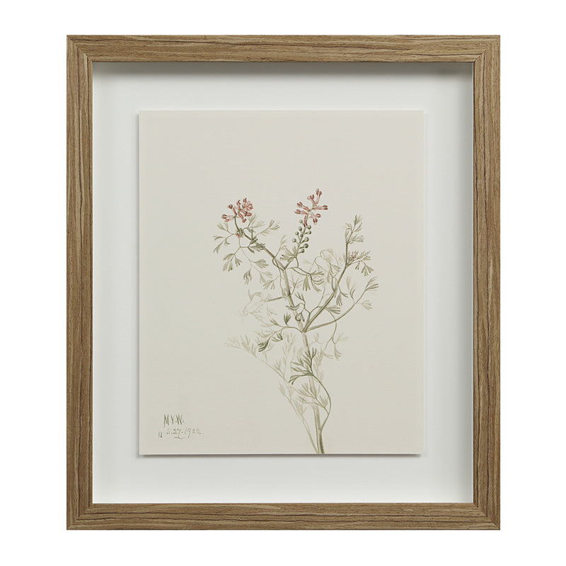 Crema Printed Art