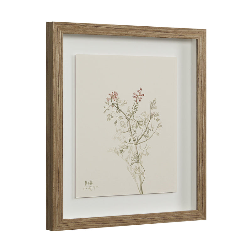 Crema Printed Art