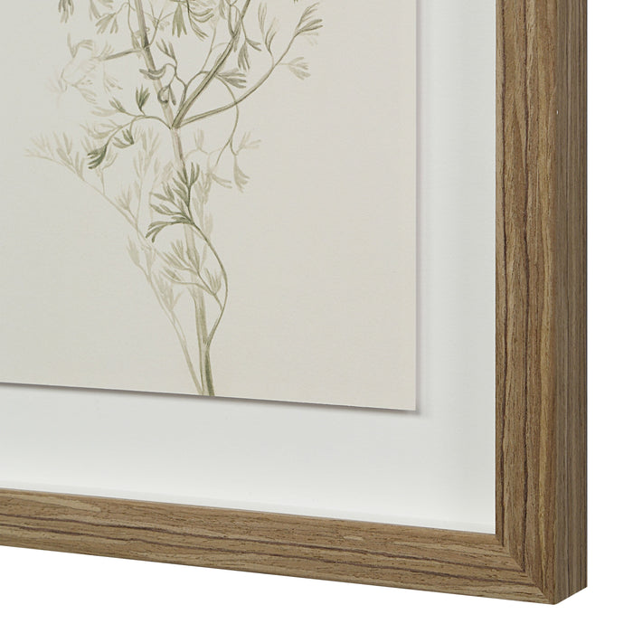 Crema Printed Art