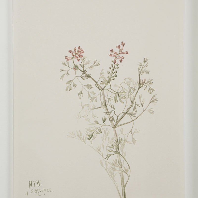 Crema Printed Art