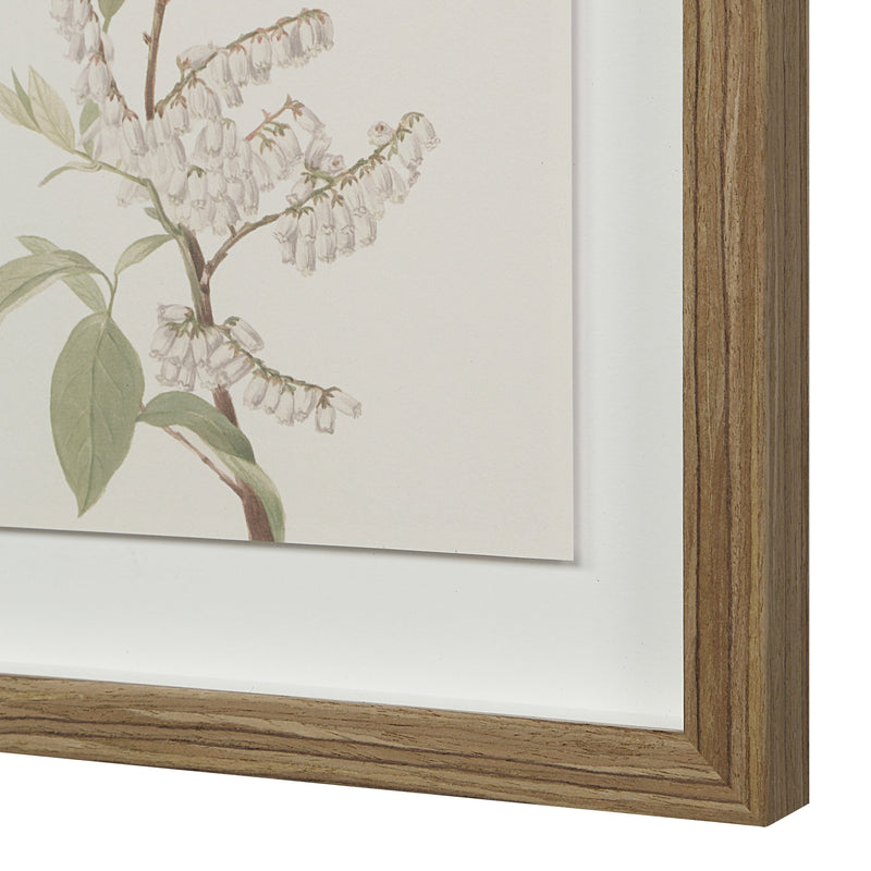 Crema Printed Art