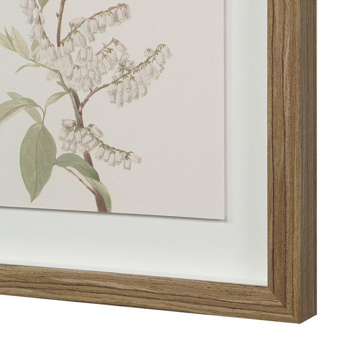 Crema Printed Art