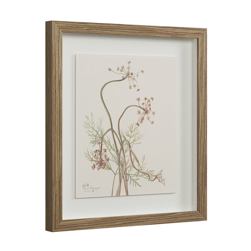 Crema Printed Art