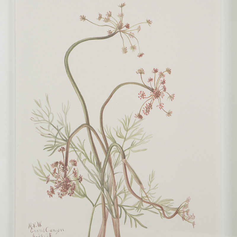 Crema Printed Art