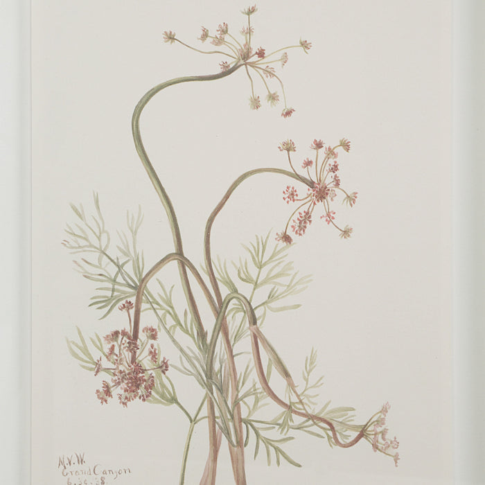 Crema Printed Art