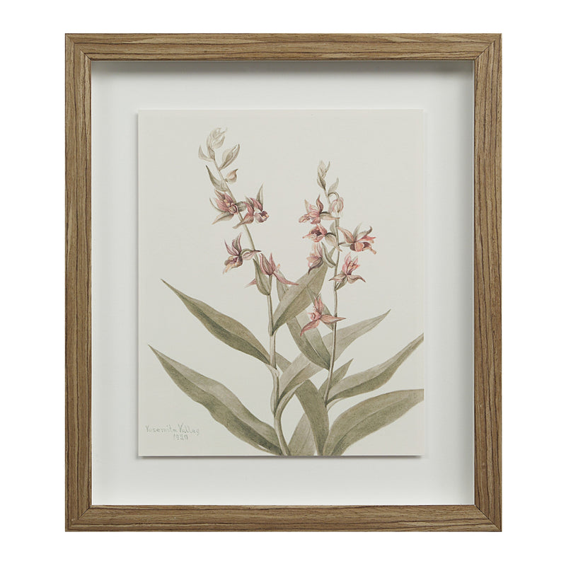 Crema Printed Art