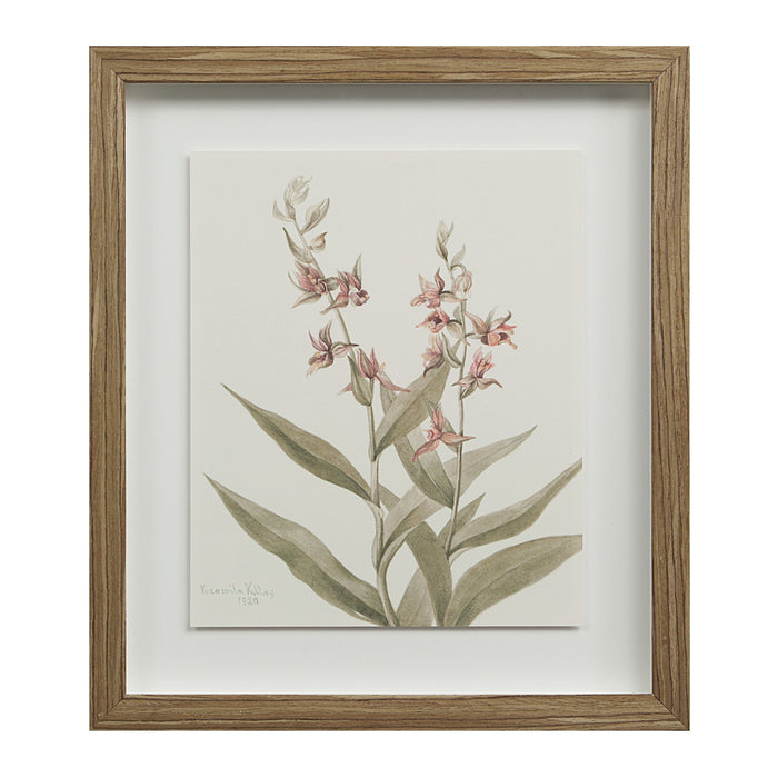 Crema Printed Art