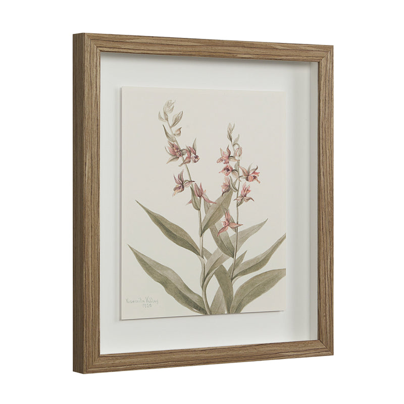 Crema Printed Art
