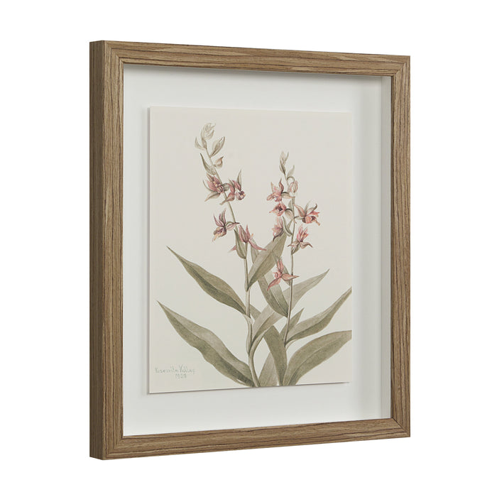 Crema Printed Art