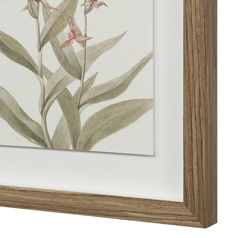Crema Printed Art