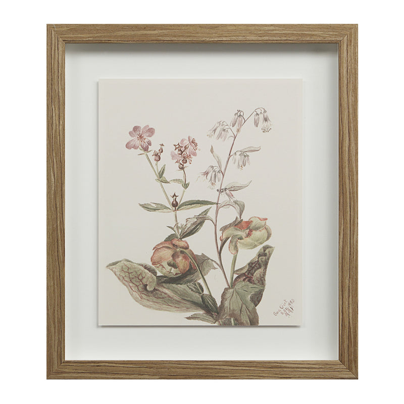 Crema Printed Art