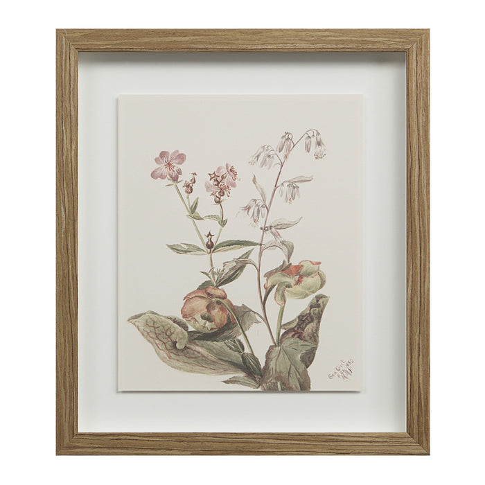 Crema Printed Art