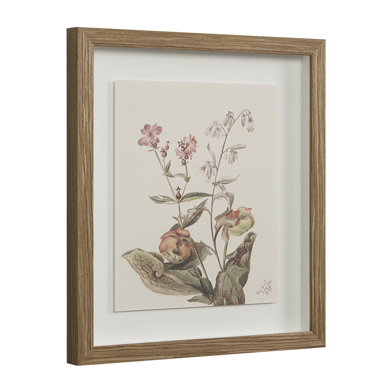 Crema Printed Art