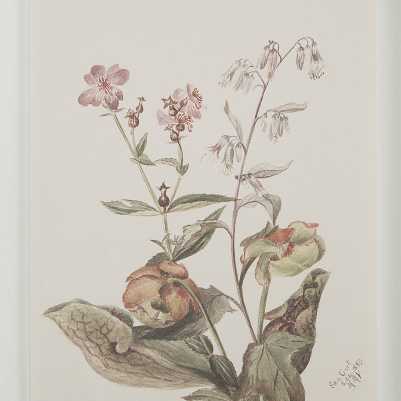 Crema Printed Art