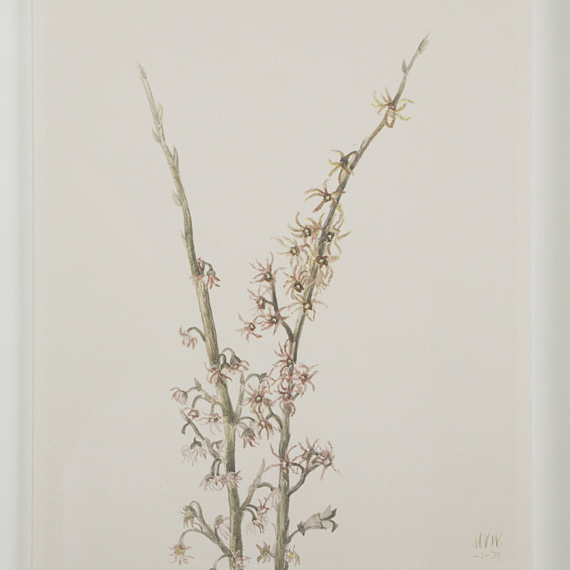 Crema Printed Art