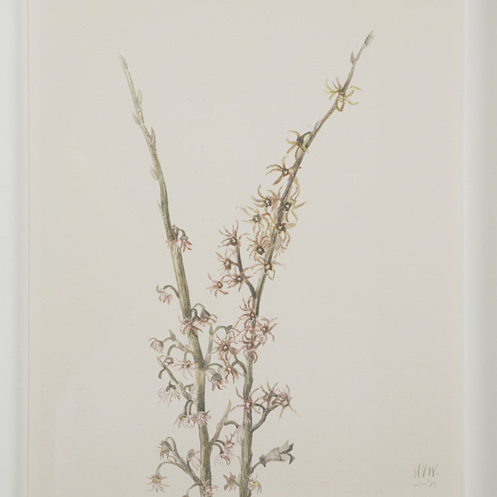 Crema Printed Art