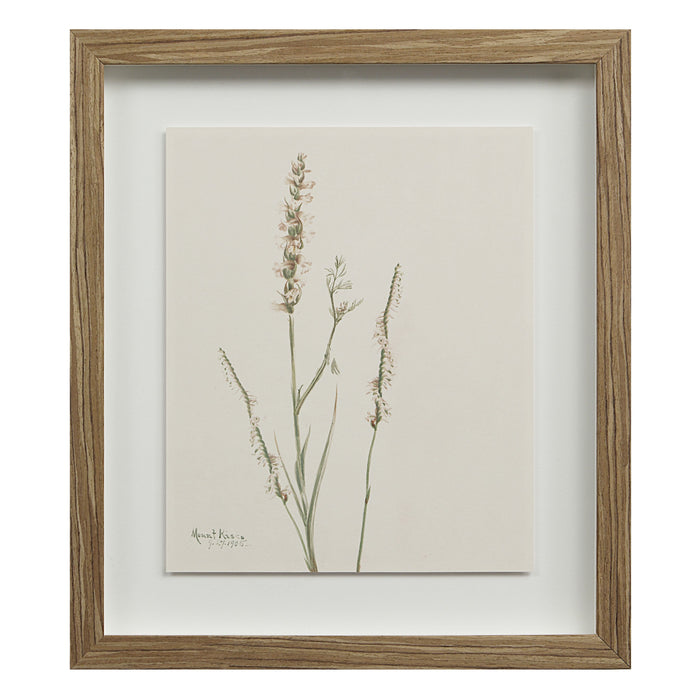 Crema Printed Art