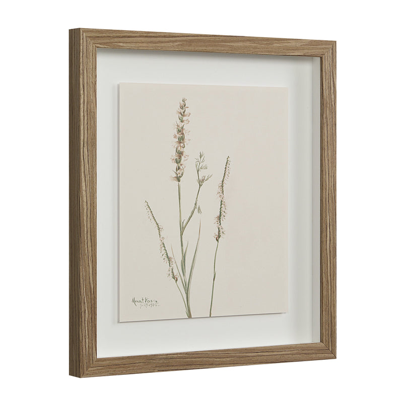 Crema Printed Art