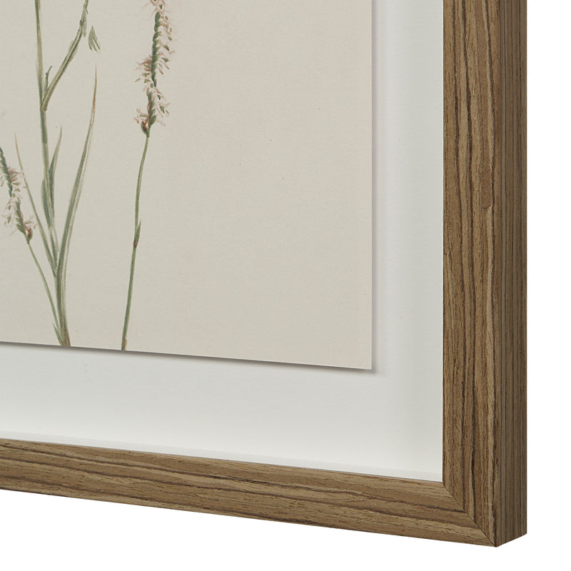 Crema Printed Art