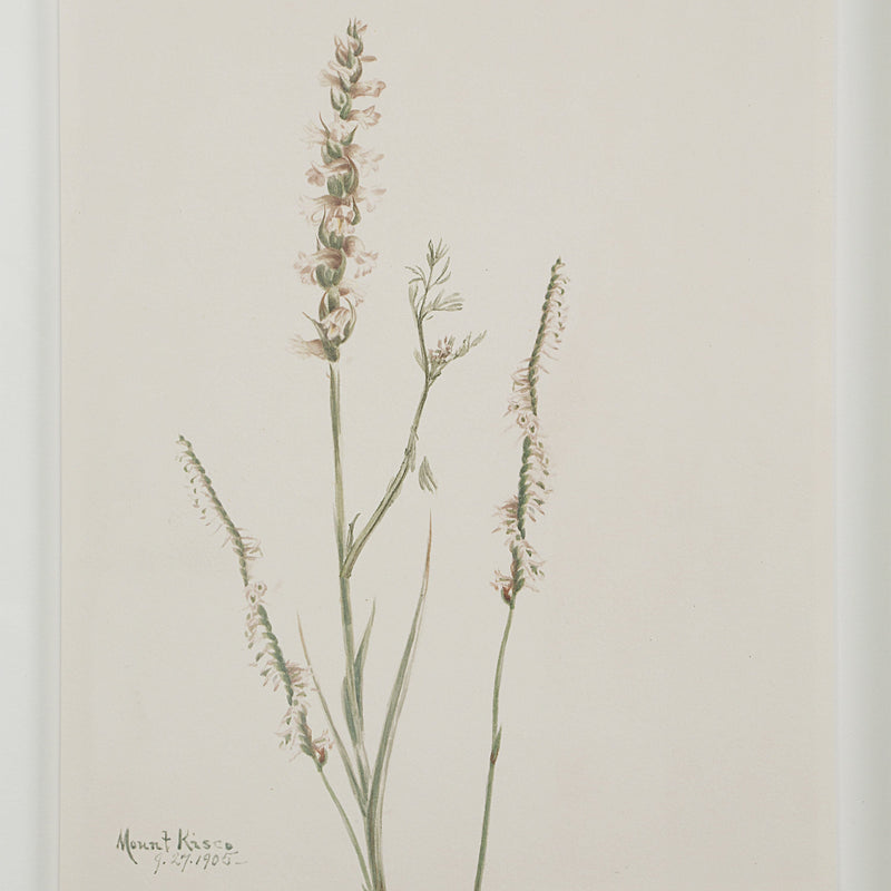 Crema Printed Art