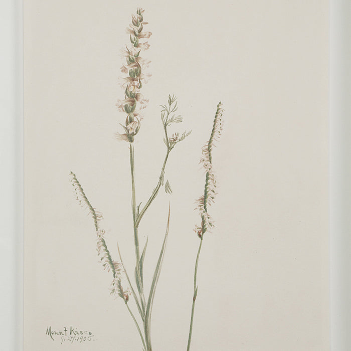 Crema Printed Art