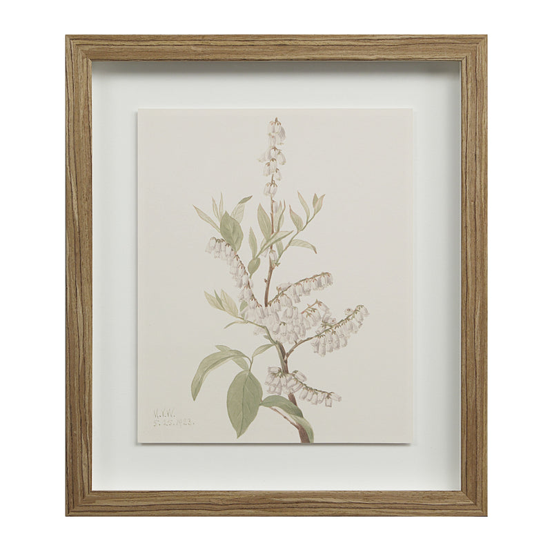 Crema Printed Art