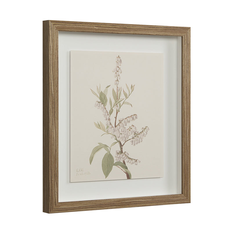 Crema Printed Art