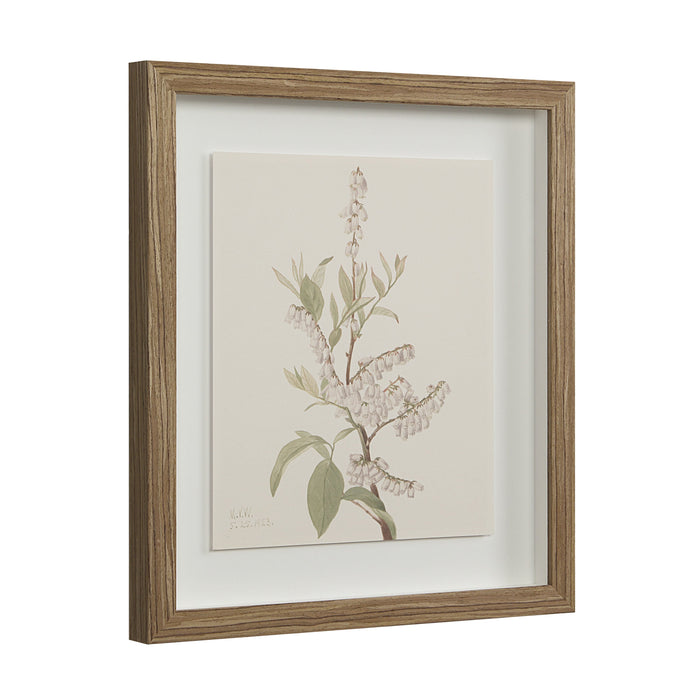 Crema Printed Art