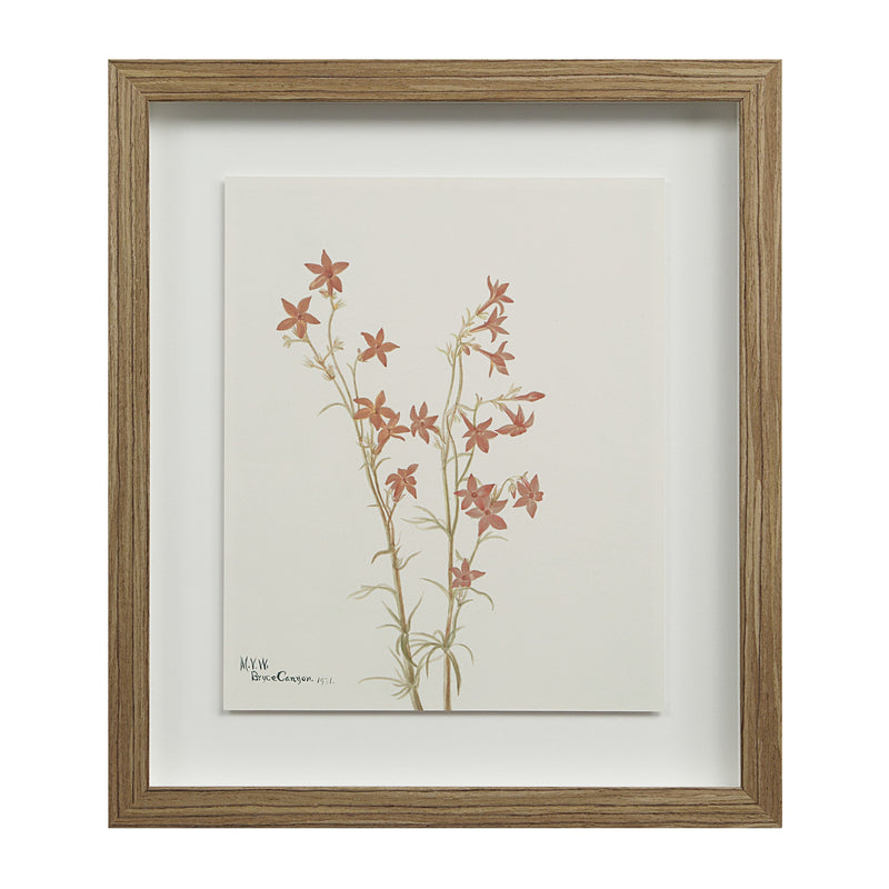 Crema Printed Art