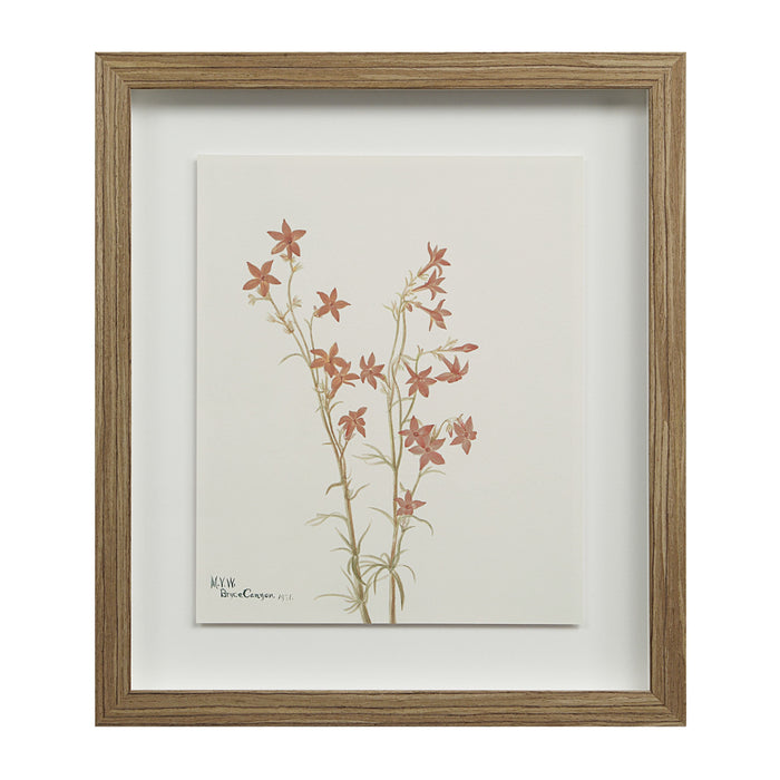Crema Printed Art