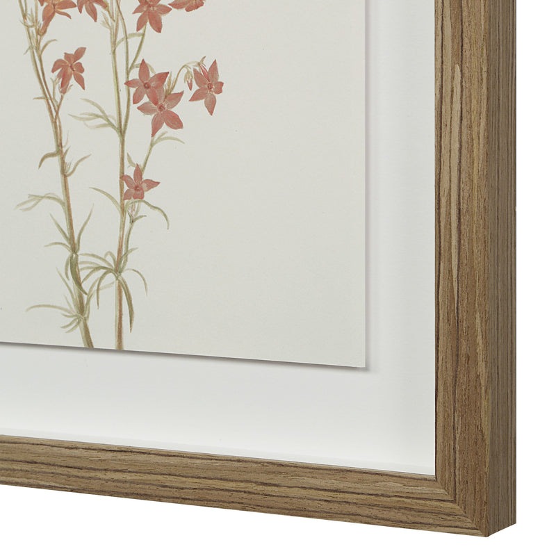 Crema Printed Art