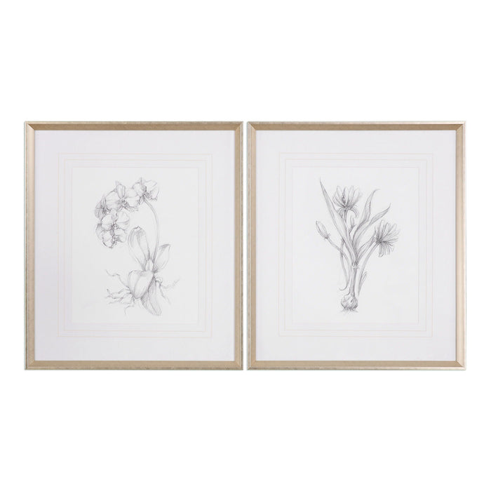 Botanical Sketches Framed Prints (Set of 2) Gold