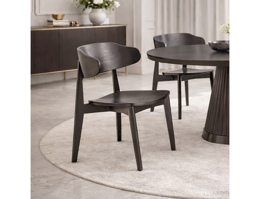 Khari Dining/Lounge Chair, Set of 2