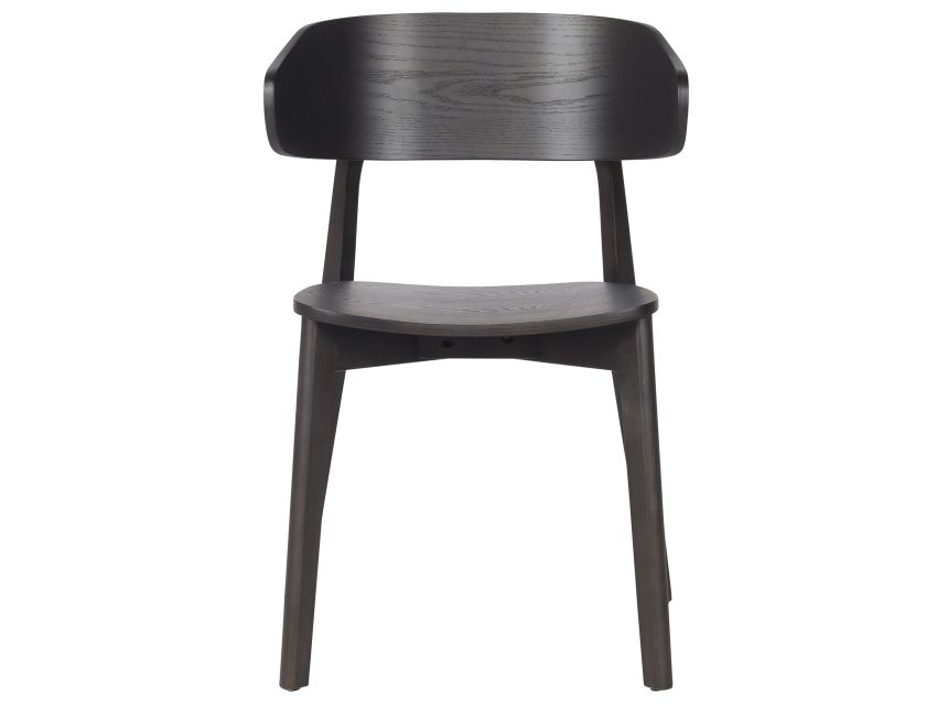Khari Dining/Lounge Chair, Set of 2