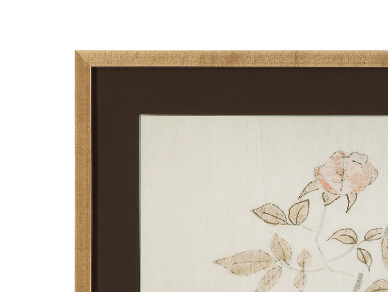Delicate Rose I Framed Print - Cream