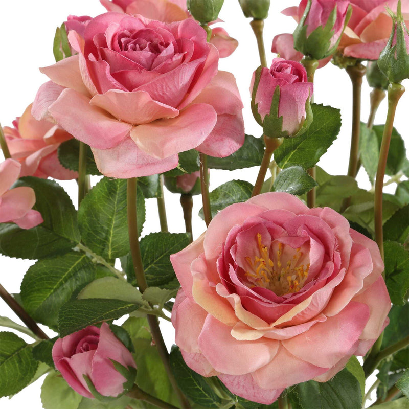 Adoration Rose - Bouquet - Pink