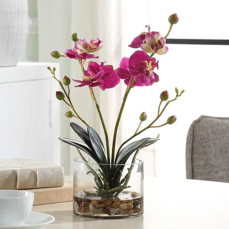 Glory Orchid - Fuchsia Orchid - Silver