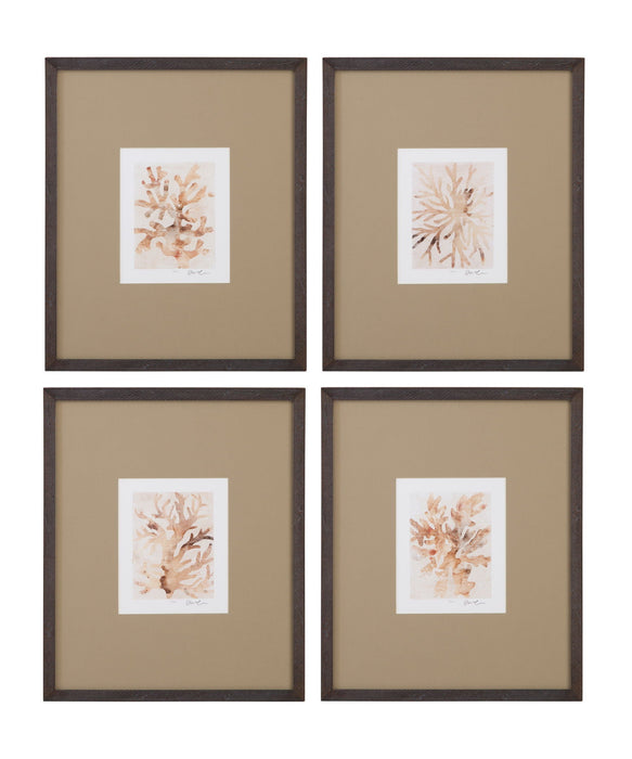 Parchment Coral I Framed Print - Brown