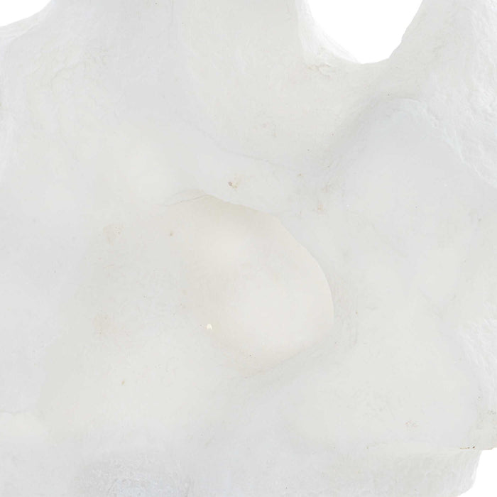 Remnant - Sculptures (Set of 2) - White